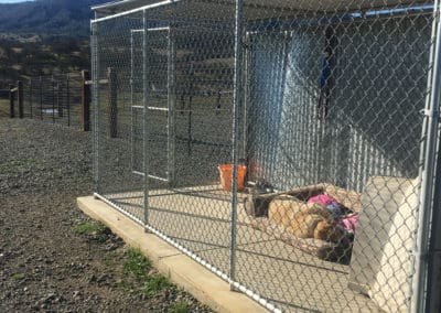 The Country Life Kennels