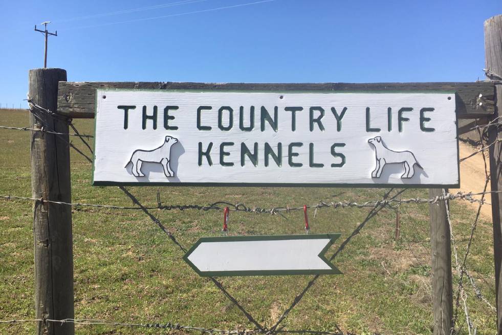 The Country Life kennels