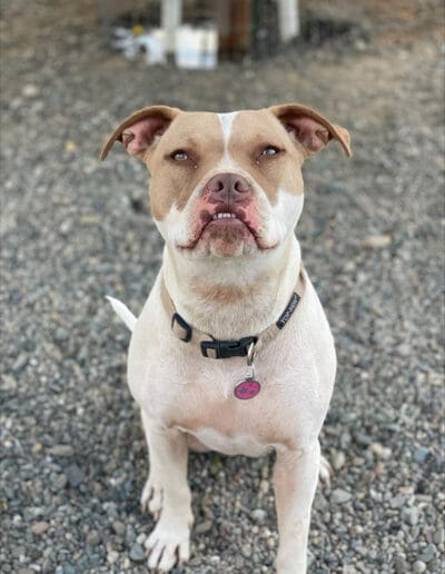 Cute underbite